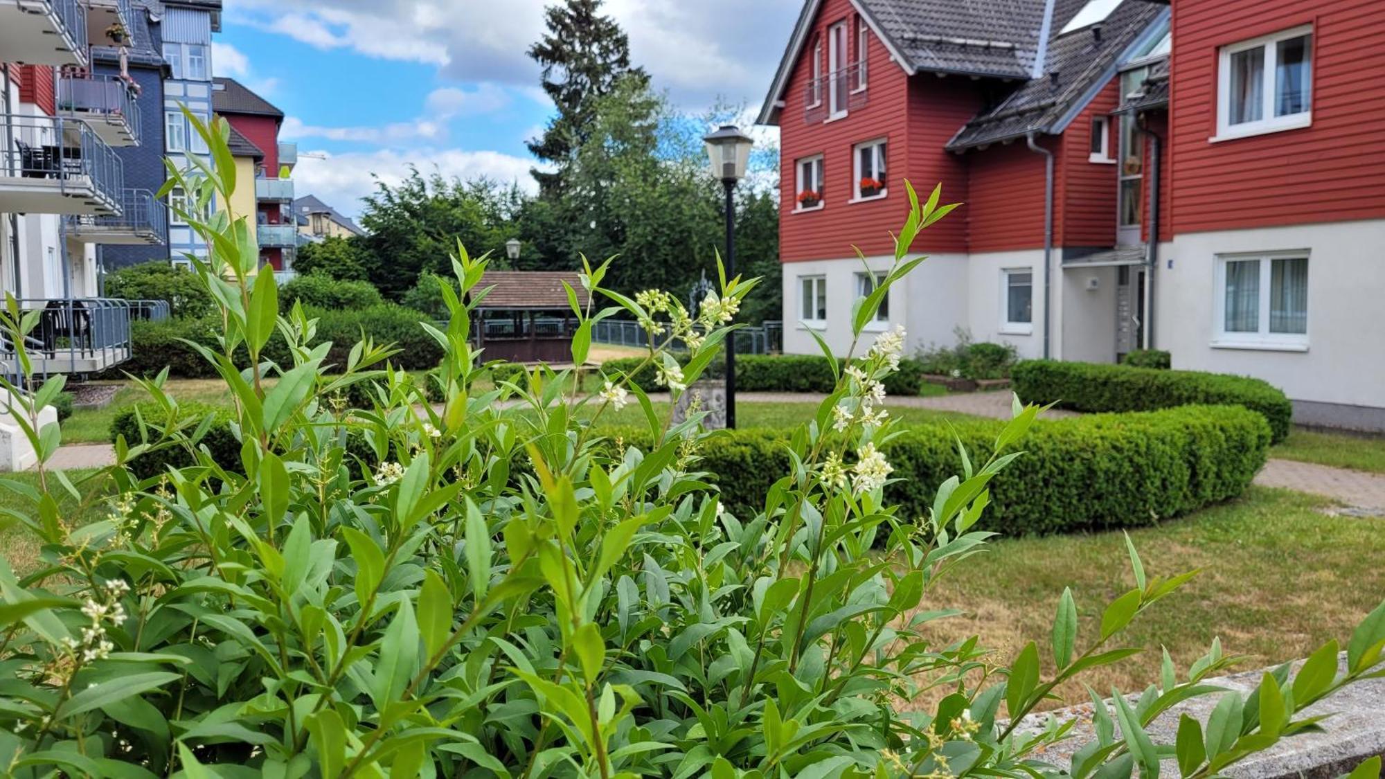 Wohlfuehl-Ferienwohnung Mit Tiefgarage Im Gruenen Oberhof  Εξωτερικό φωτογραφία